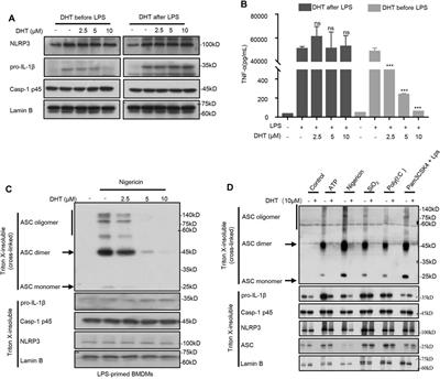 Frontiers | Dihydrotanshinone I Specifically Inhibits NLRP3 